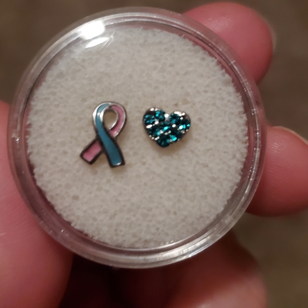 Origami Owl Charms